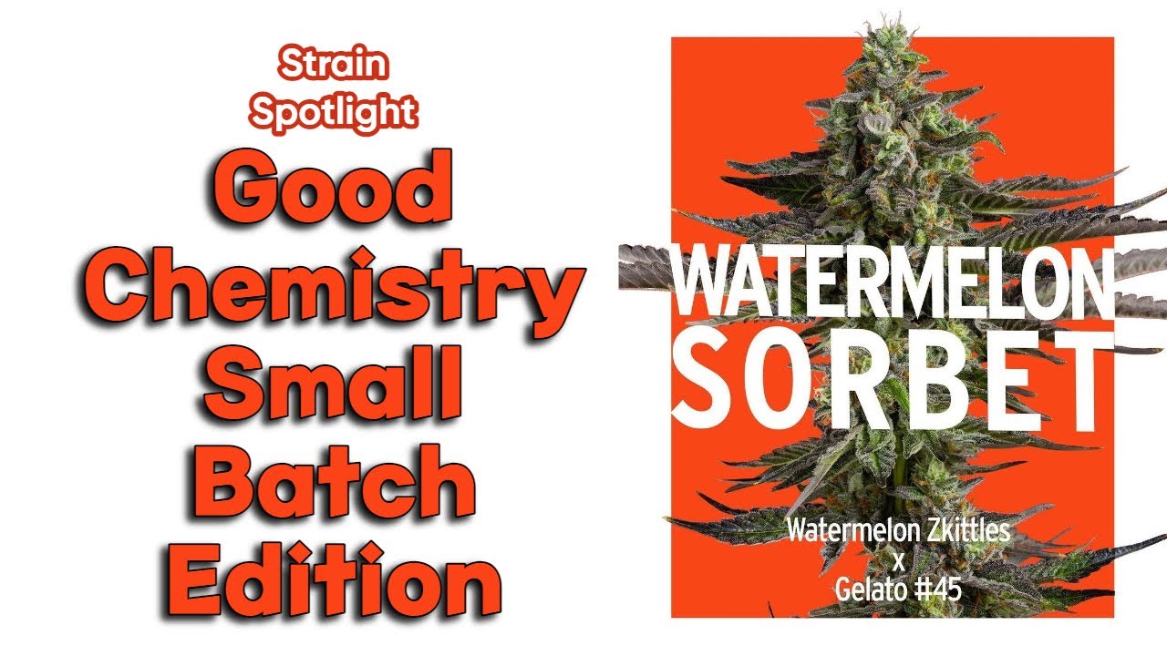 Watermelon Sorbet - Strain Spotlight