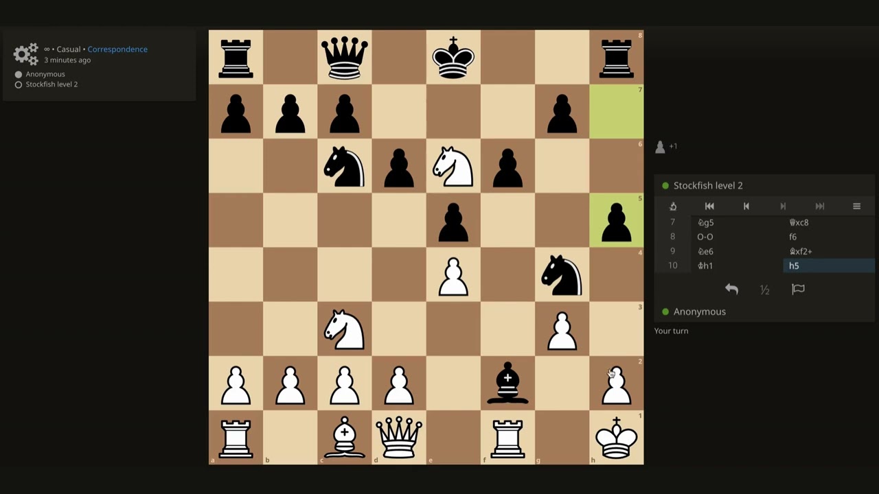 Online Chess Playing - #52