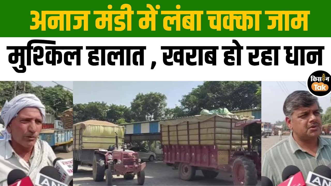 Karnal Anaj Mandi में लगा लंबा जाम, किसानों ने कहा घंटों लाइन में लगने पर भी नहीं मिल रहा गेट पास