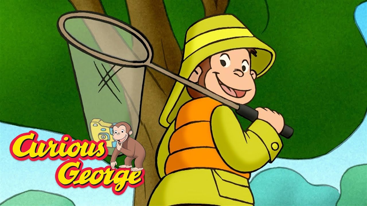 Who Will Catch the Fish? 🐵 Curious George 🐵 Kids Cartoon 🐵 Kids Movies
