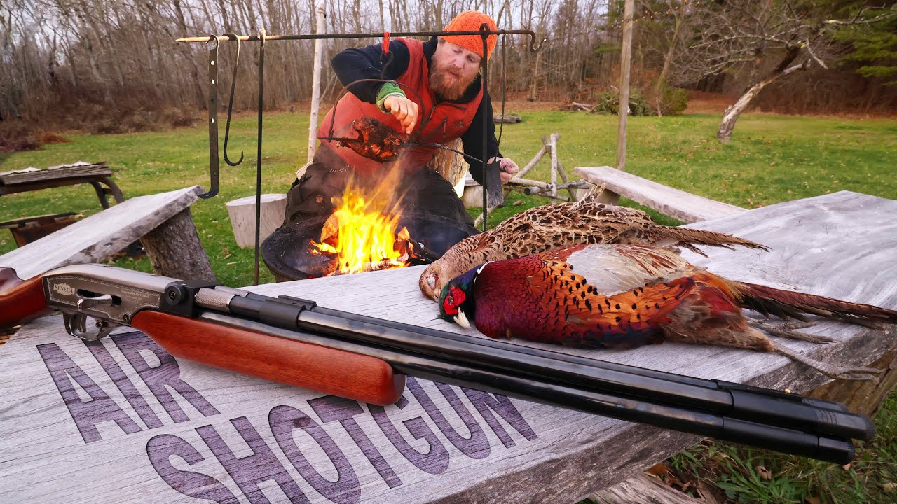 Catch & Cook Pheasant with the Double Barrel Air Shotgun (Seneca Double Shot .50 cal Air Rifle)