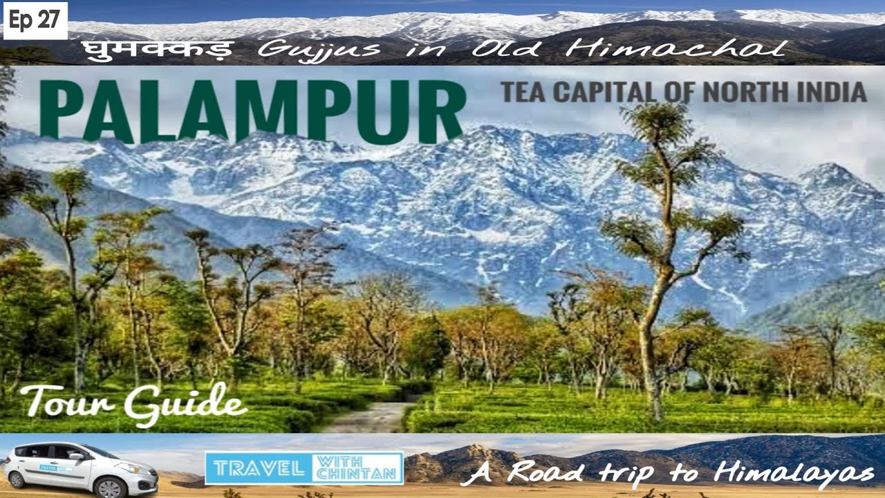 Palampur Tour Guide | Stay | Food | Palampur Tourist Paces | Hiden Gem of Himachal | घुमक्कड़ Gujjus
