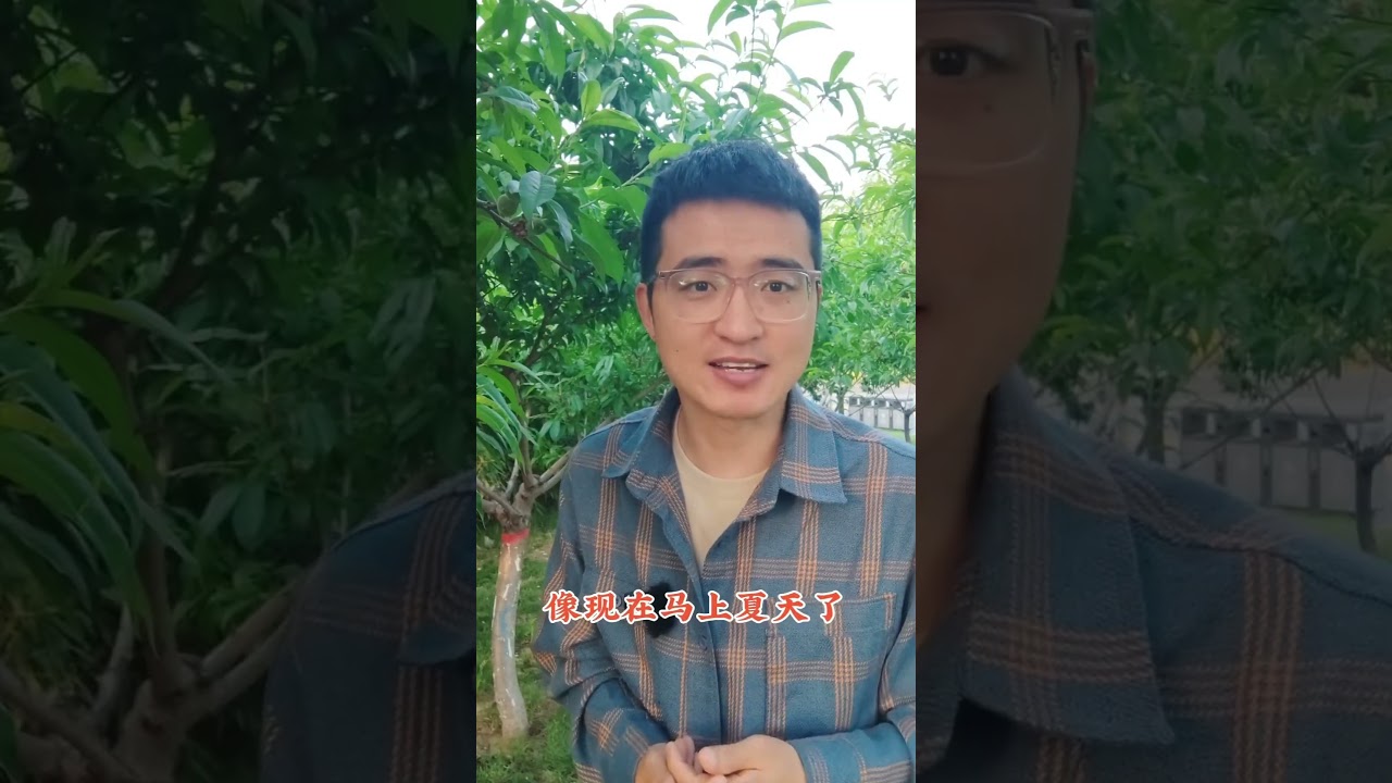 杜鹃花日常养护都需要注意些什么呢？#花卉绿植 #杜鹃花 #养花 #园艺 #bonsai #plants #养花 #分享 #garden #花卉绿植 #科普 #gardening #shorts