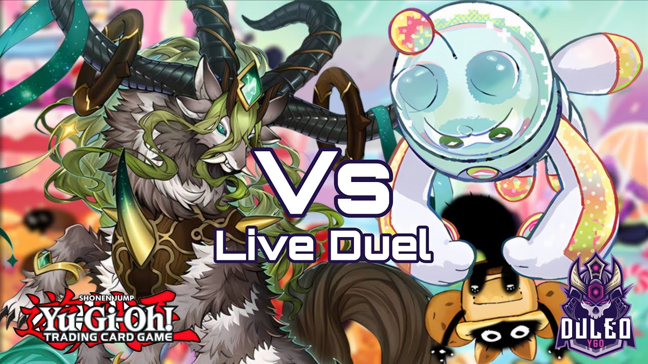 Dracotail Vs Yummy Live Duel!!