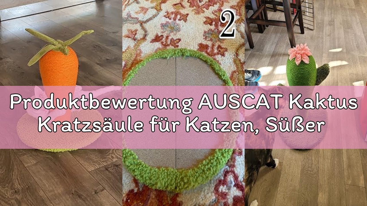 Produktbewertung AUSCAT Kaktus Kratzsäule für Katzen, Süßer Kaktus-Kratzsäule, Katzenspielzeug aus N