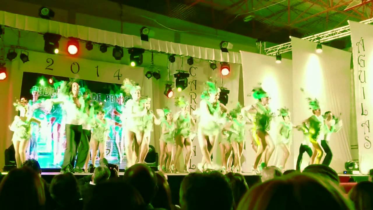 Ballet Oficial - Cambio de Poderes 2014. 2ª Actuación.