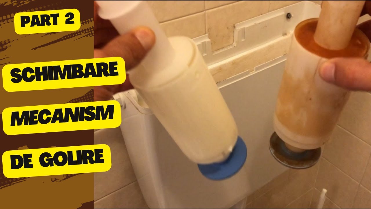 Cum Înlocuim  Mecanismului De Golire La Toaletă(WC)