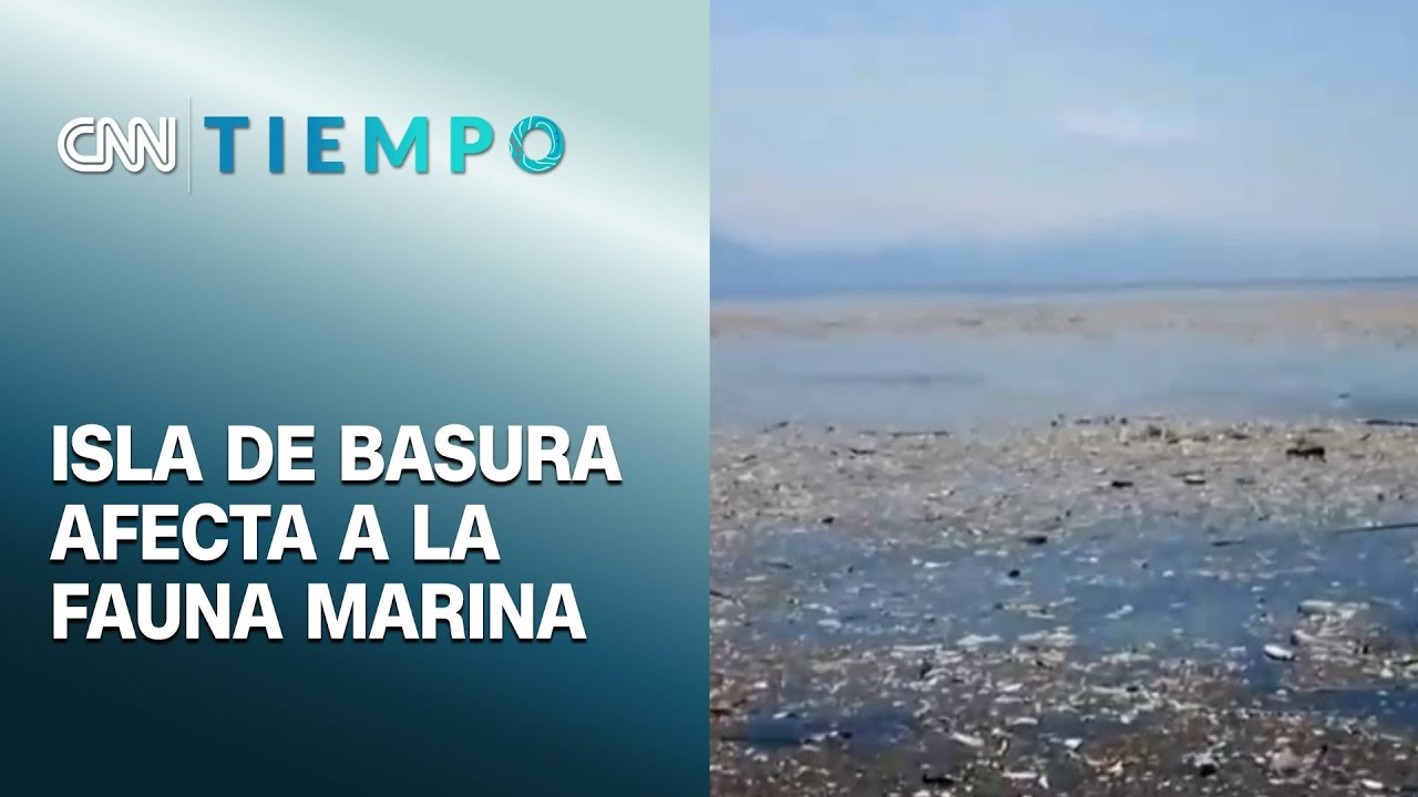 Isla de basura en el océano es tres veces más grande que el tamaño de Chile | CNN Tiempo