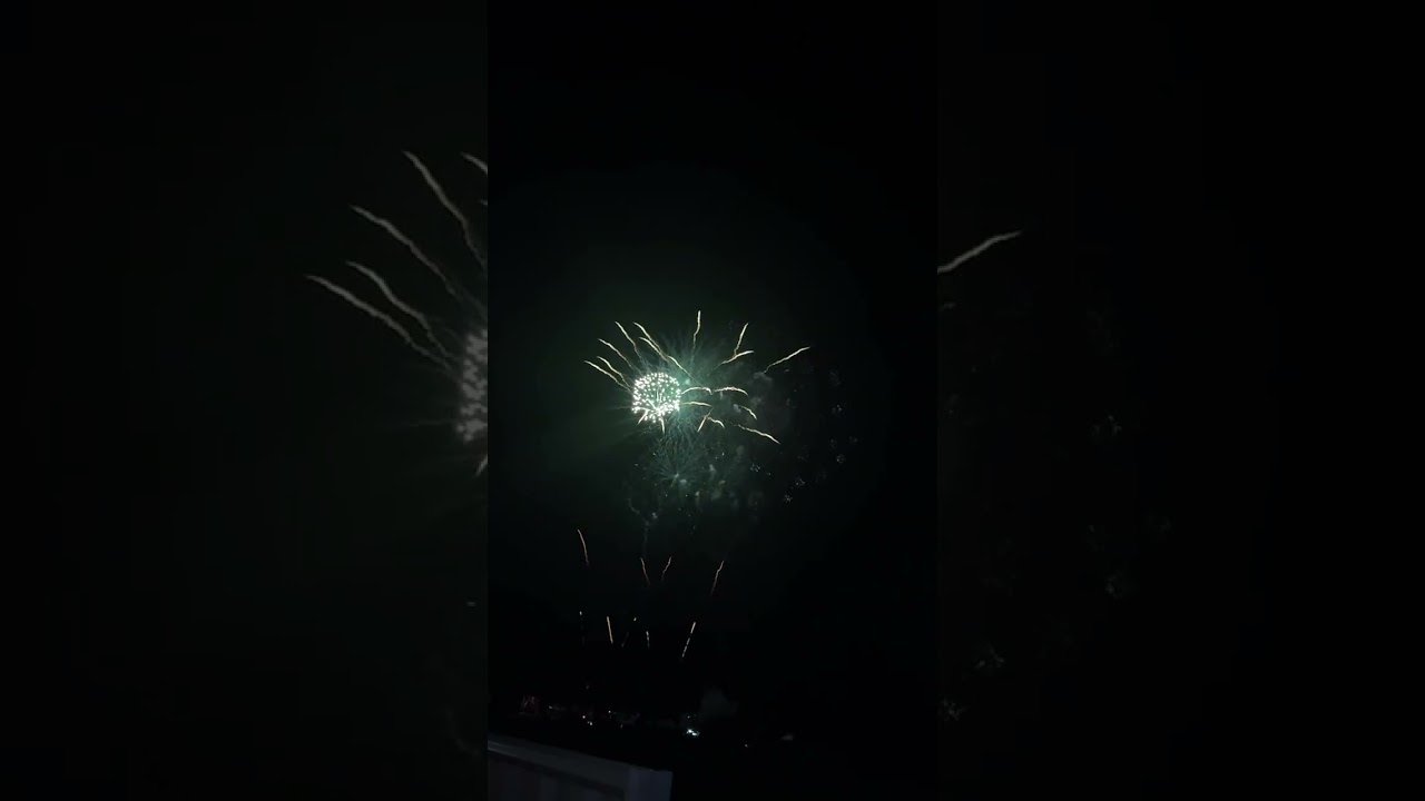 #happynewyear #sydney #system #2026 #trending #trendingshorts #trendingvideo #travel 