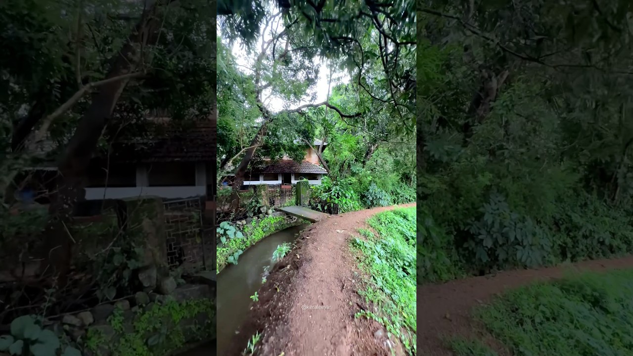 Nostalgic Kerala Home🍃Village Life #keraleeyar #nostalgickerala #villagelife #nostalgia