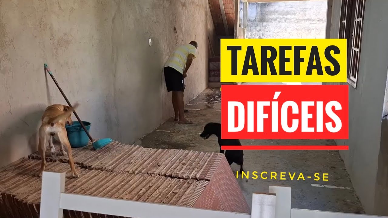 Tudo Tem Seu Grau de Dificuldade, Mas Com Determinação Tudo Dá Certo 💪🐔🐶