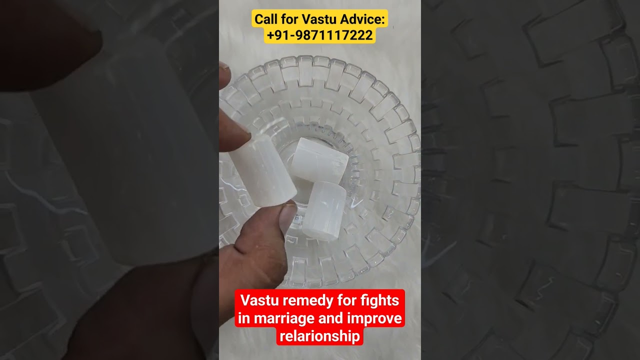 Vastu remedy for fights in marriage and improve relarionship #couple #relationship #family #viral
