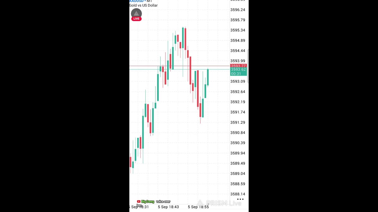 🚀lets learn to trade