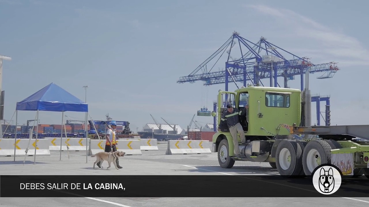 Proceso de Importacion TCQ