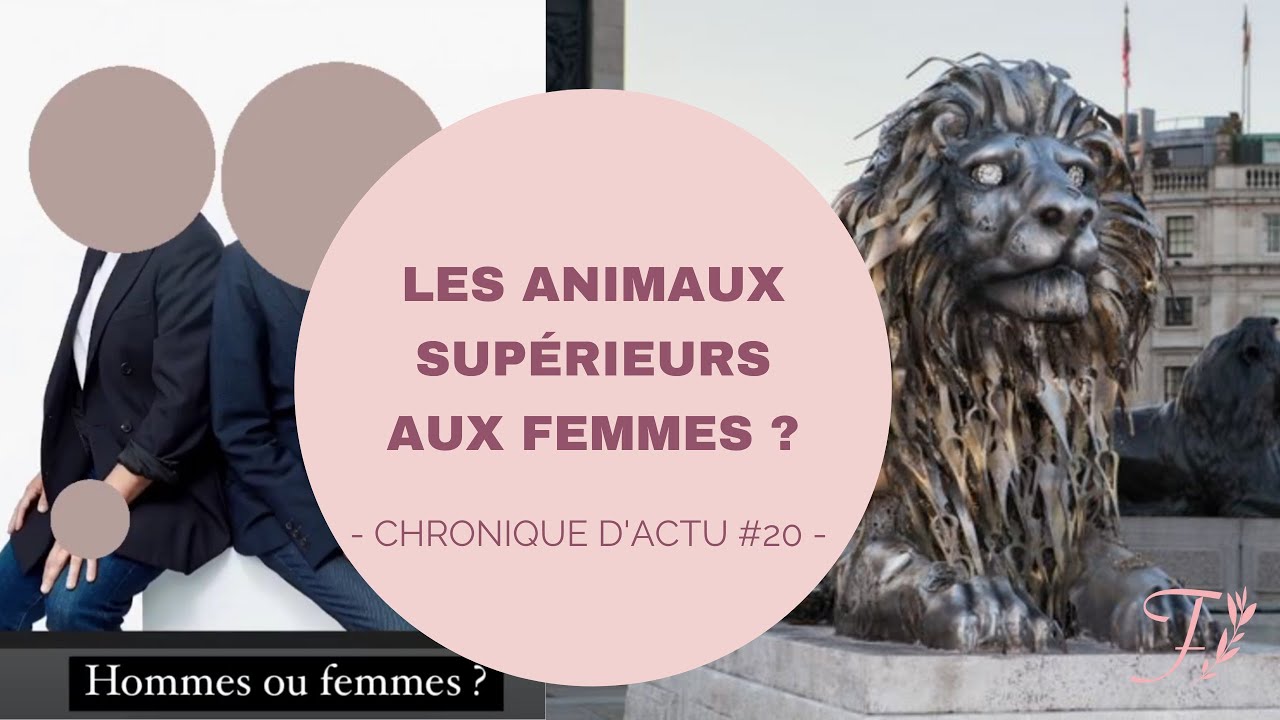 L'absurdité des quotas féministes // Actu#20