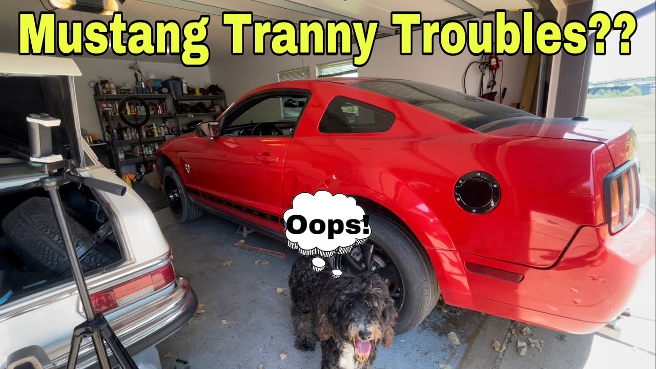 How To Measure Mustang Transmission Fluid Level