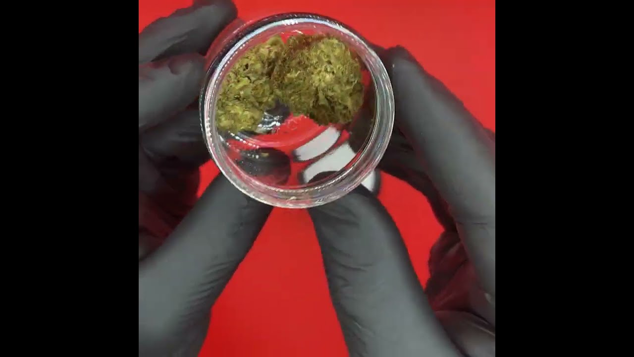 Levit8 D8 CBG open jar