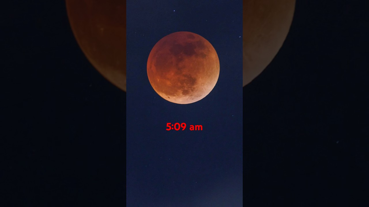 The Moon will turn Red! March 2025 Lunar Eclipse #shorts #lunareclipse #moon #space