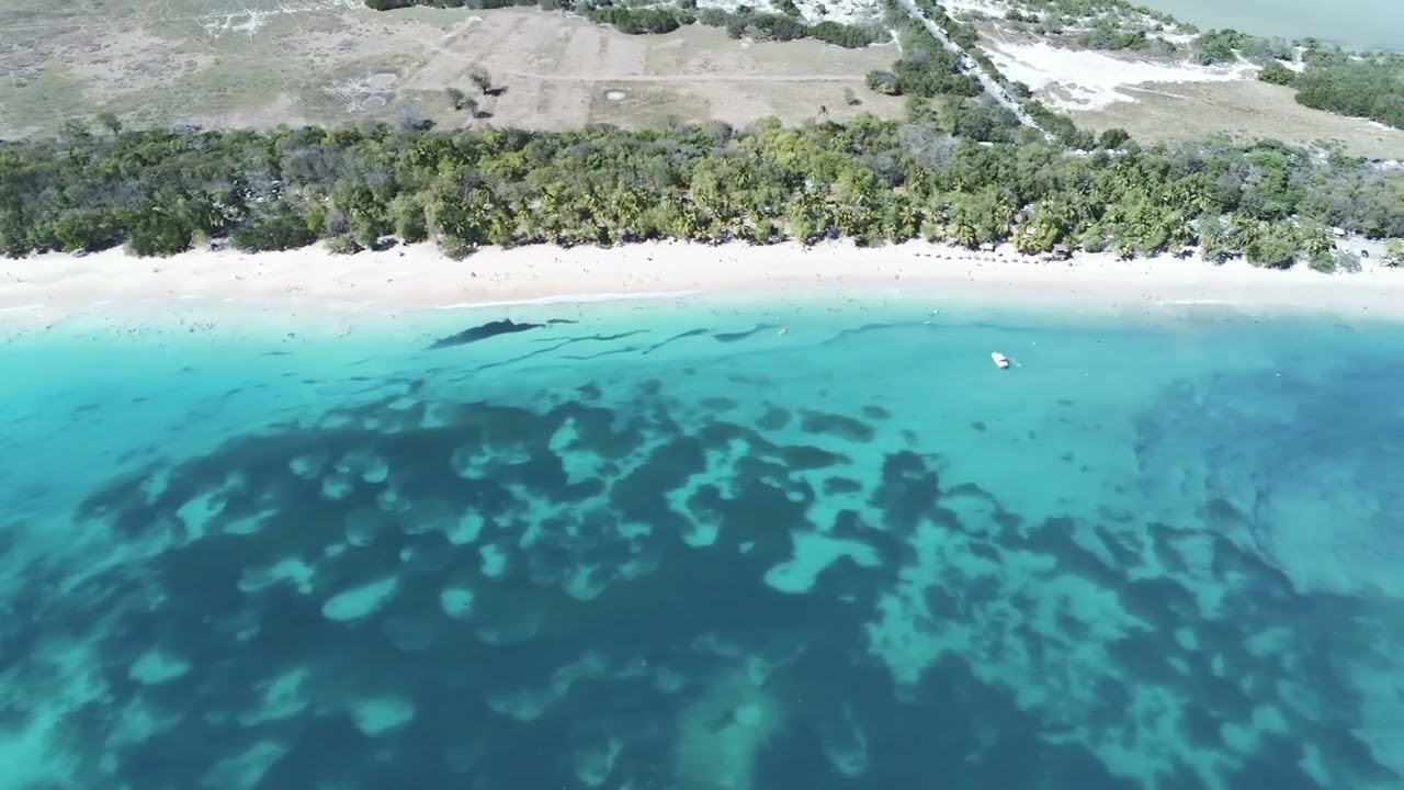plage des Salines MARTINIQUE en entier en Drone.