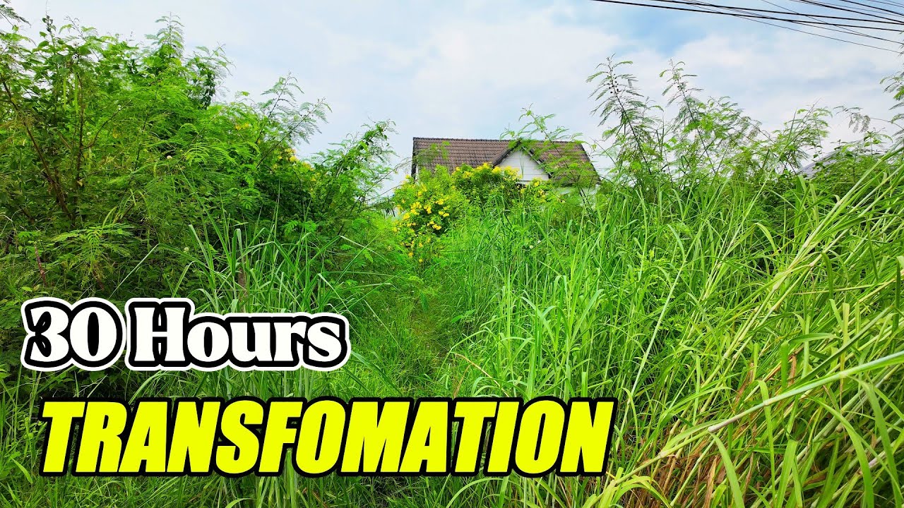 30 Hours, 4 Days, 1 Forgotten Mansion – Watch the Full 60-Minute Transformation