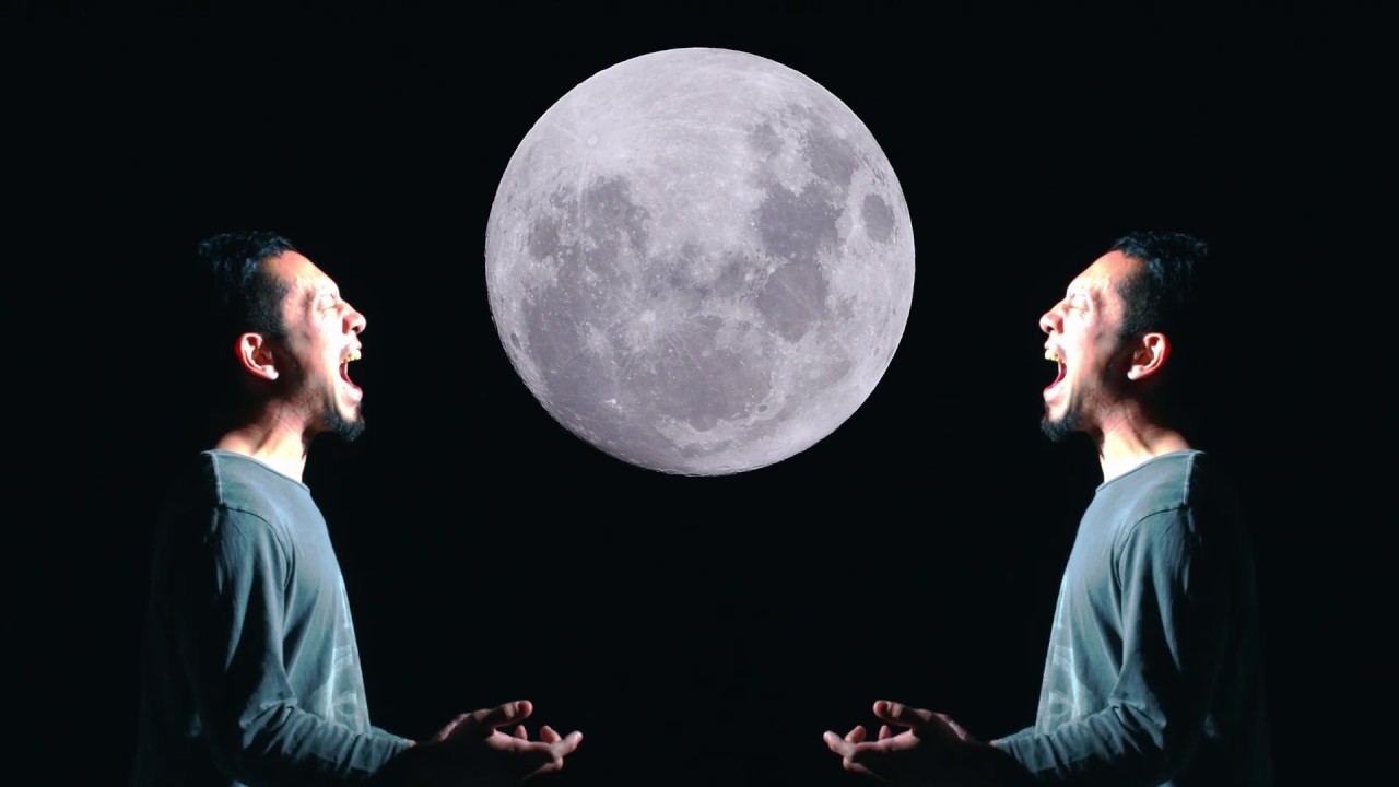 Arise in Stability - Noise Heard in the Moon (Official Music Video)
