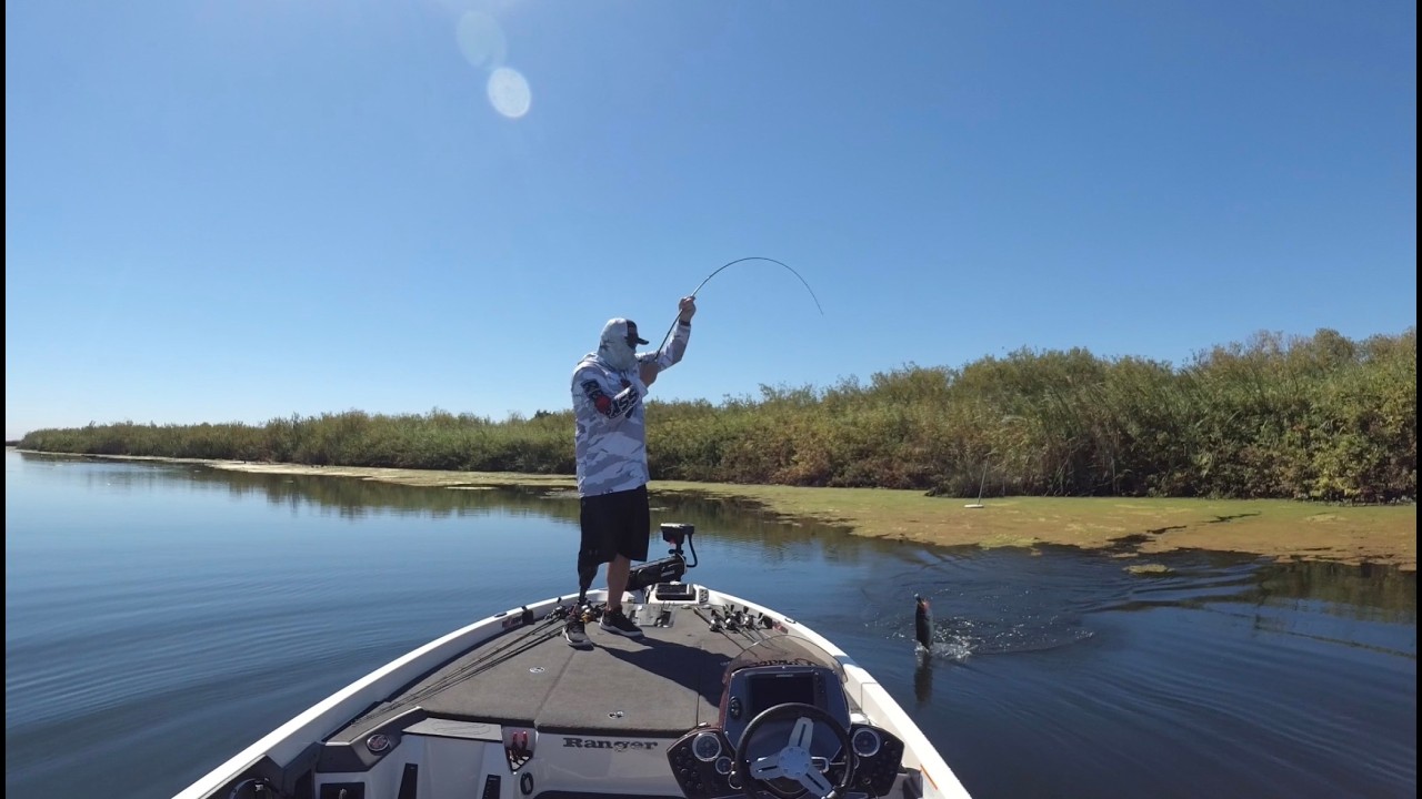 CA Delta frogging
