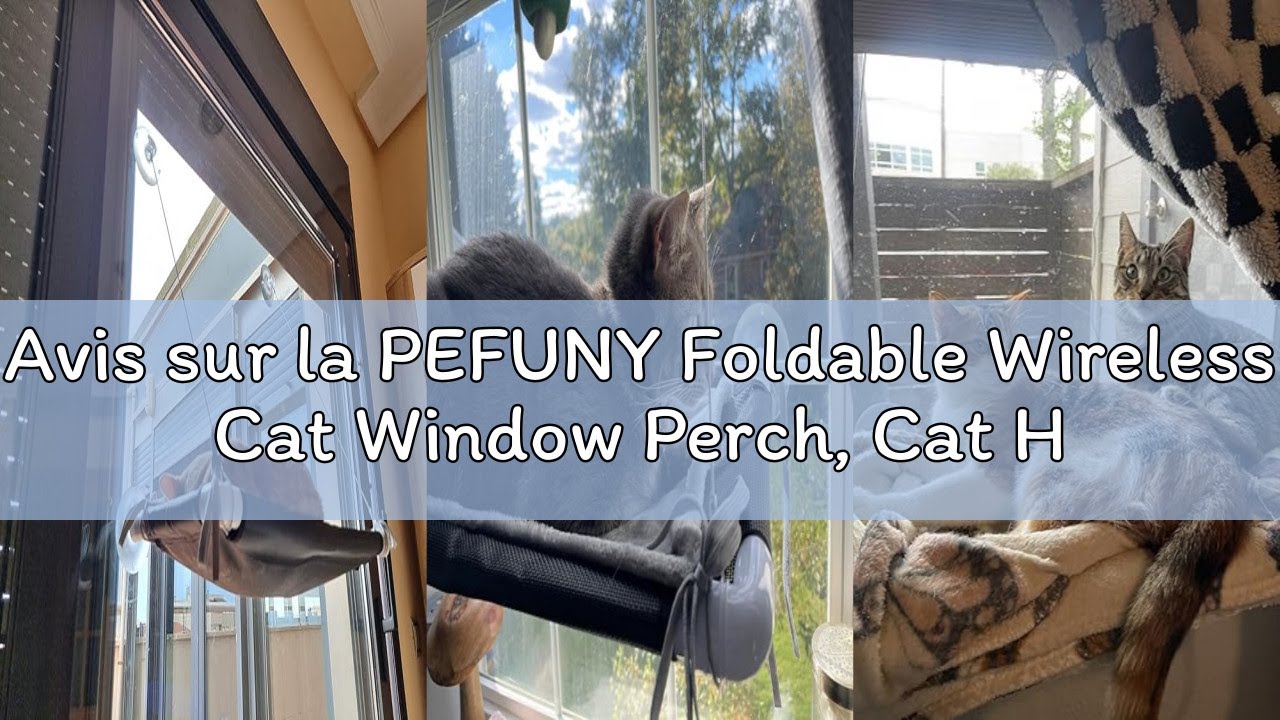 Avis sur la PEFUNY Foldable Wireless Cat Window Perch, Cat Hammock with 4 Suction Cups, Sturdy Setal