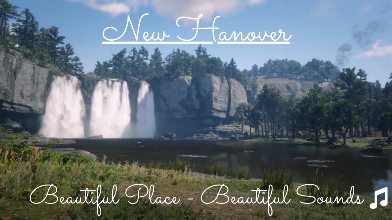 Red Dead Redemption 2 Ambient Music -  New Hanover Birdsong Ambiance
