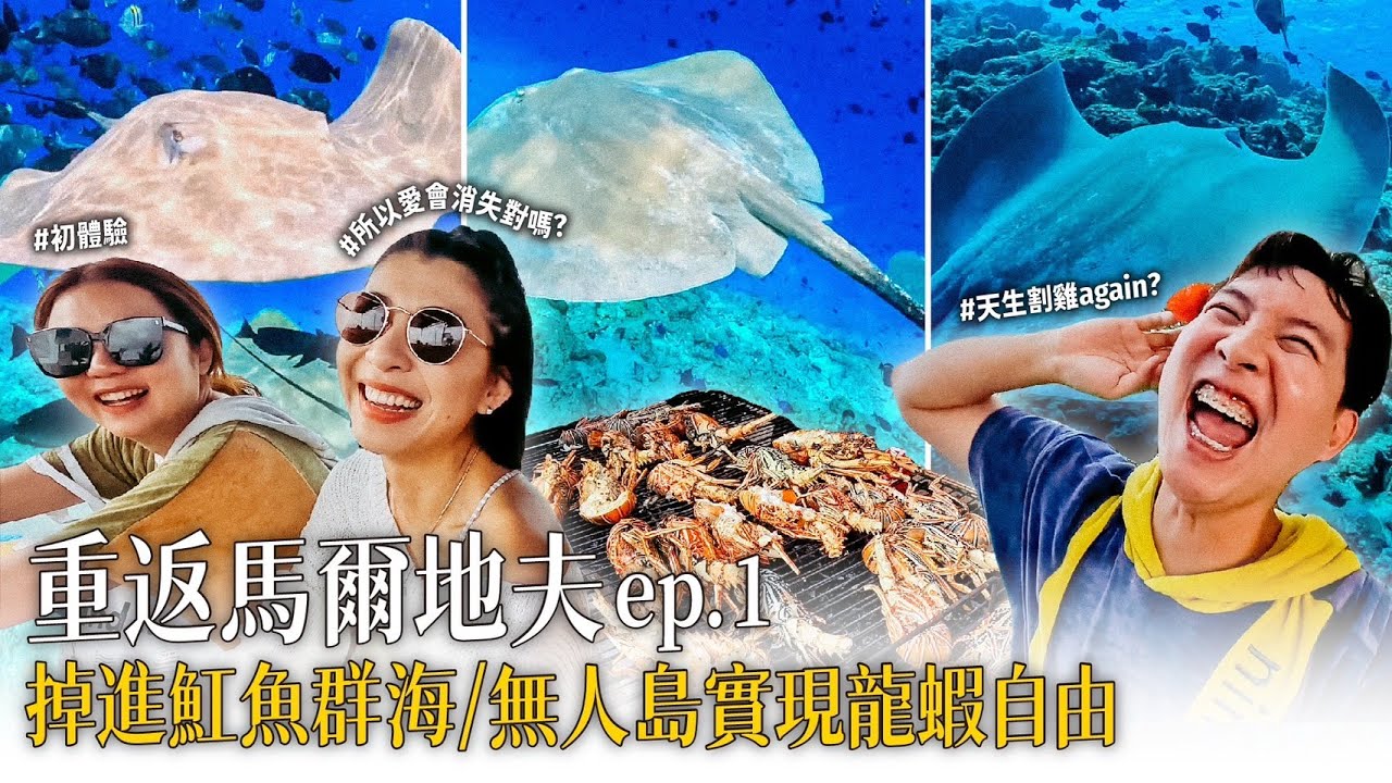 馬爾地夫我們又來了！一下海就「魟魚震撼」！無人島上龍蝦自由！【重返馬爾地夫ep.1】