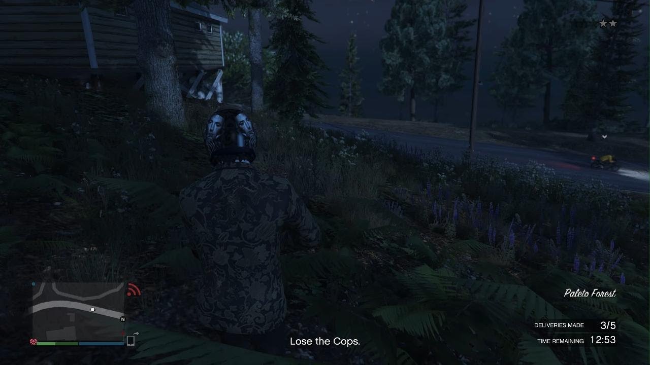 GTA5 bullying low level bot who tried to r#p# me