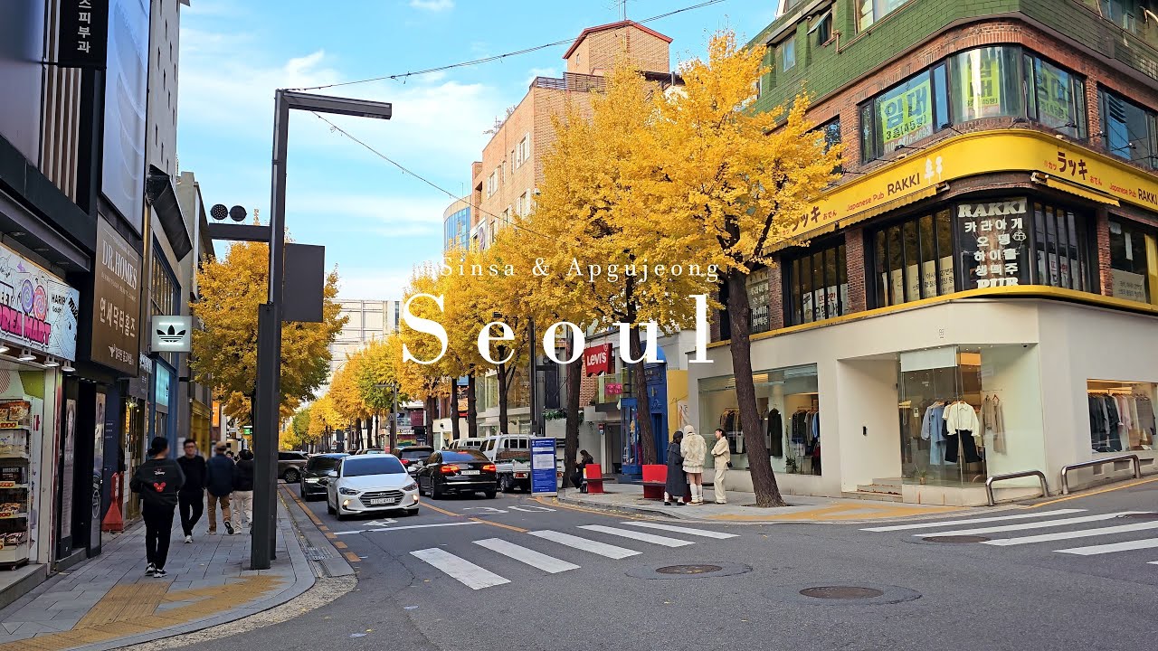 Exploring Sinsa & Apgujeong | Seoul’s Chic Cafés & Concept Stores
