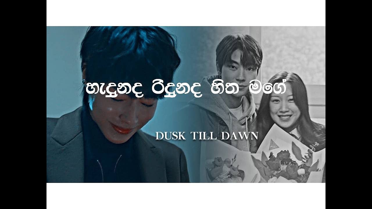 Hadunada Ridunada hita mage (හැදුනද රිදුනද​ හිත මාගේ)/korean mix  new sinhala song/ /true beautiy