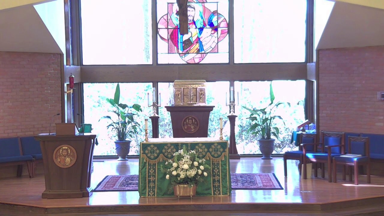 The Holy Mass at Saint Luke - February 15, 2026