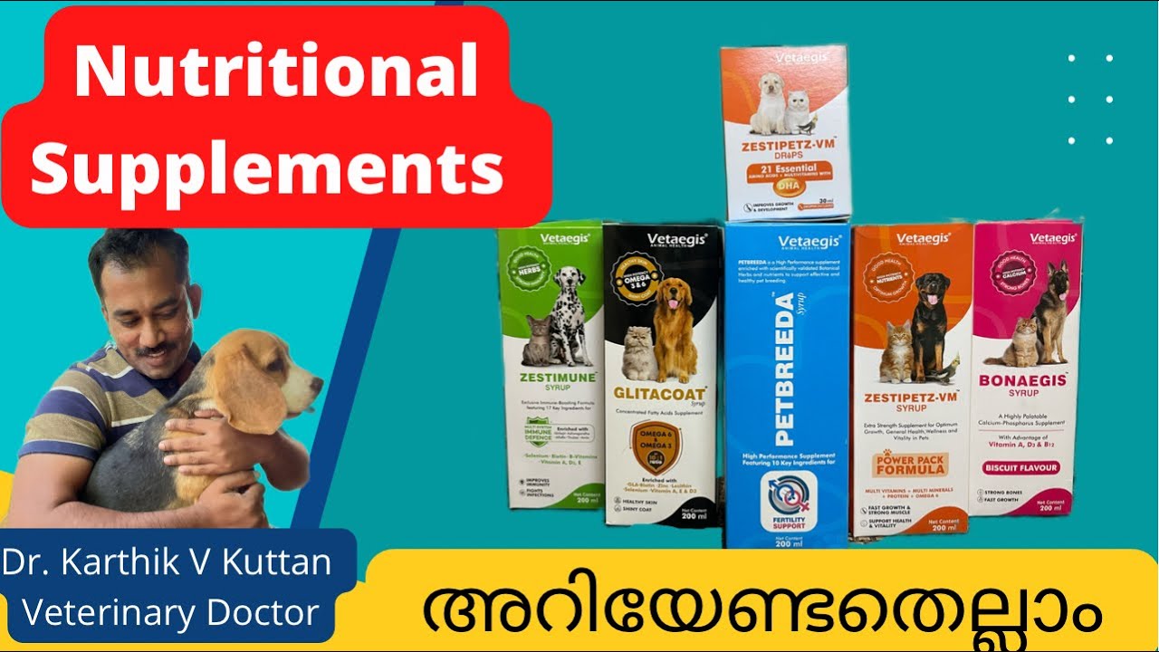 Dog pregnancy supplements malayalam|Dog pregnancy malayalam|Dog supplement #petsnvets #dogpregnancy