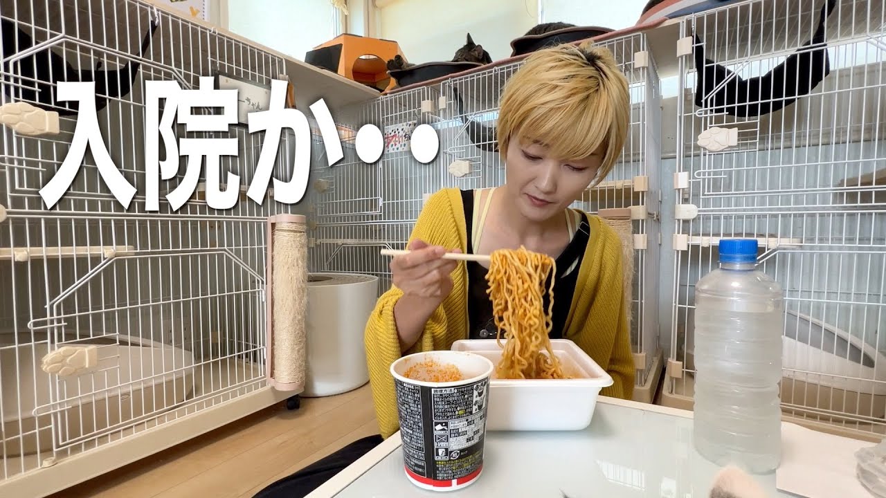 病院で入院するかと言われた話・・【ココロマン普段の様子】