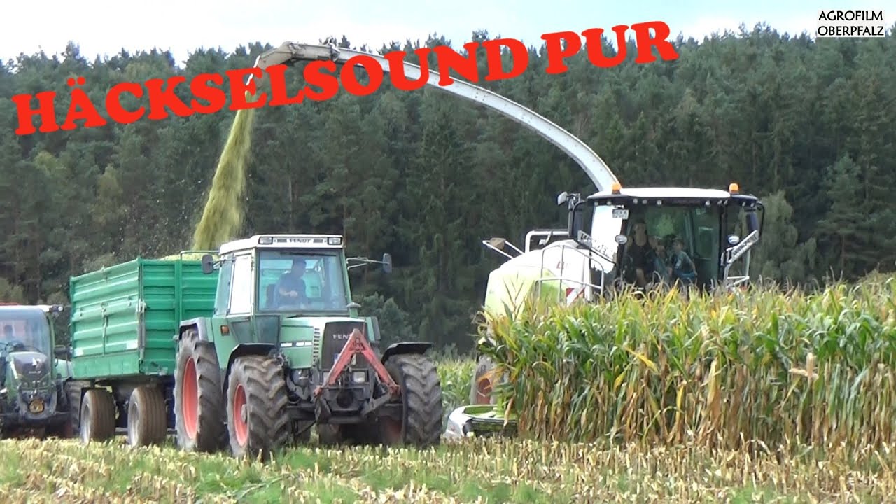 Jaguar auf Hektarjagd | Sound | Maisernte mit Claas Jaguar 970 | LU Winderl | Fendt Farmer 312 LSA