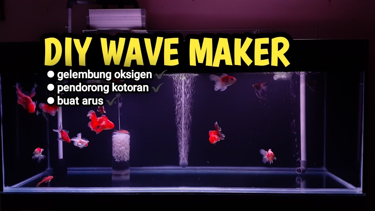DIY cara membuat wave maker dengan arus air dari lubang output filter