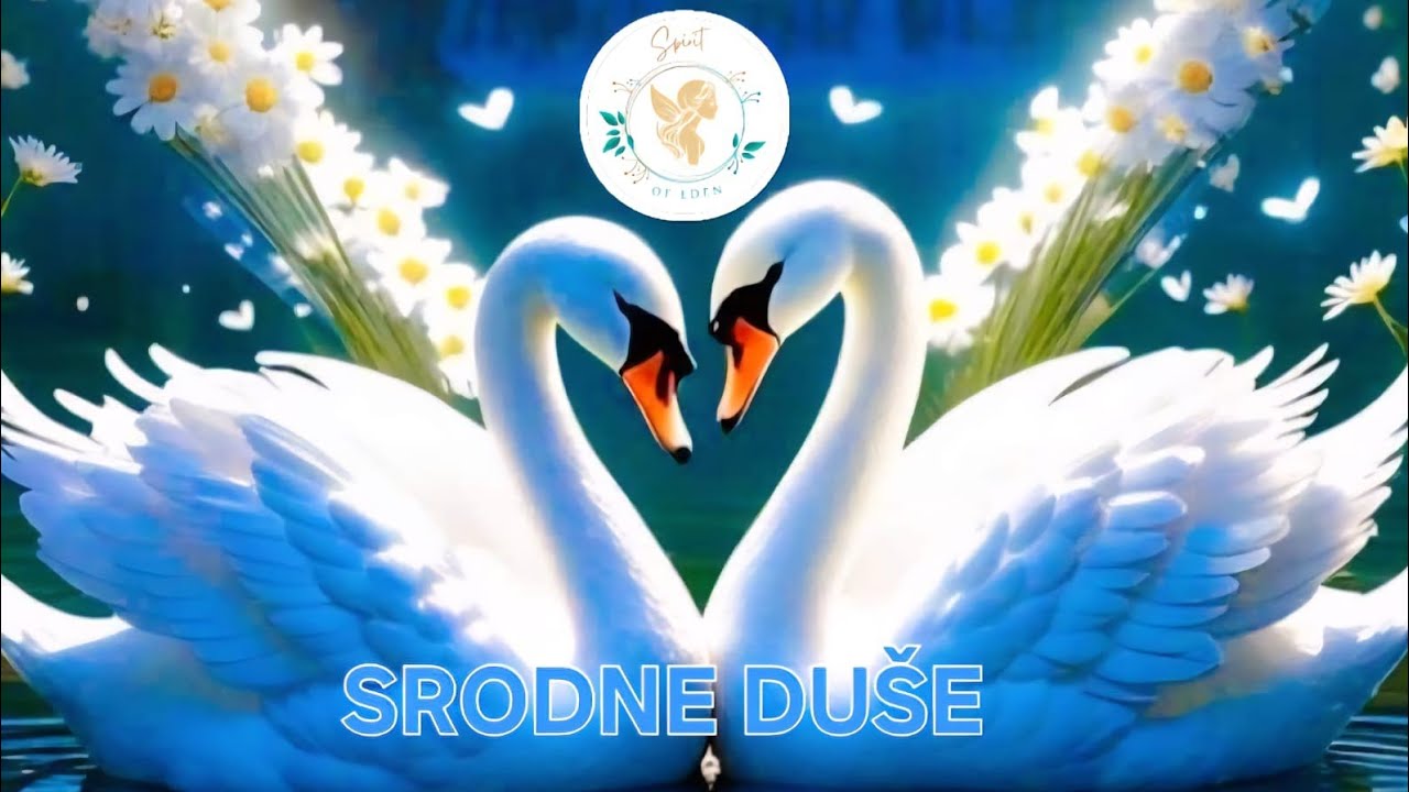 SRODNE DUŠE 💫 Videćete promenu, povezanost dolazi u prvi plan💖