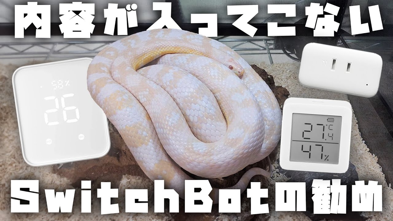 内容が入ってこないSwitchBotの勧め