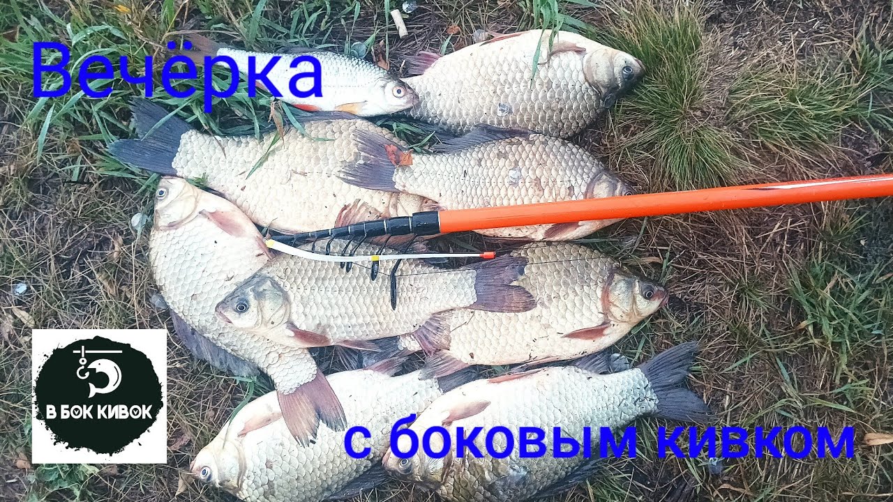 С такими карасями и карпа не надо. Вечерняя рыбалка на боковой кивок.