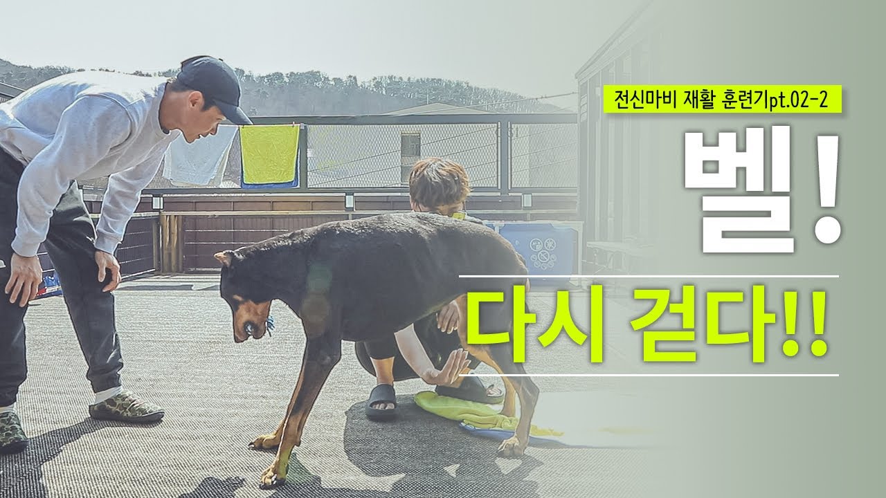 [배정남+벨]  딸바보 배정남과 세상예쁜 딸래미 벨의 전신마비 극복 재활훈련기 두번재 이야기-02