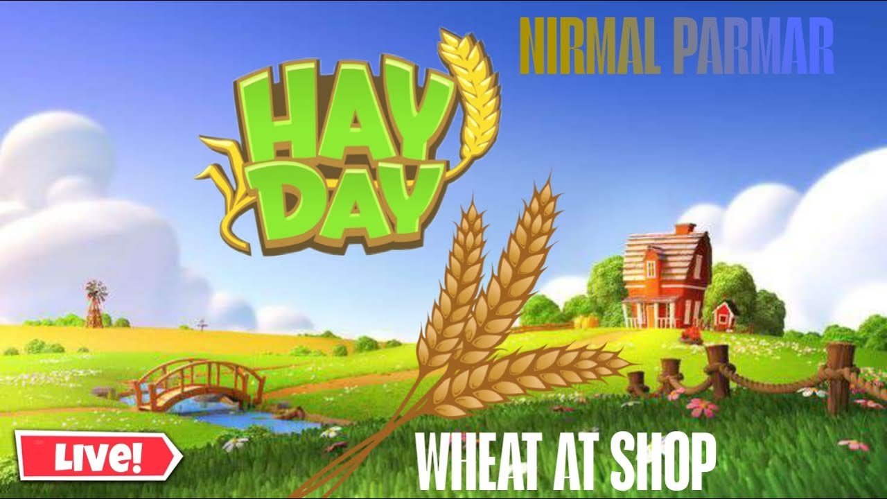 i am back guys long time after only wheating and all hayday work all I'd day Sunday funday day-47
