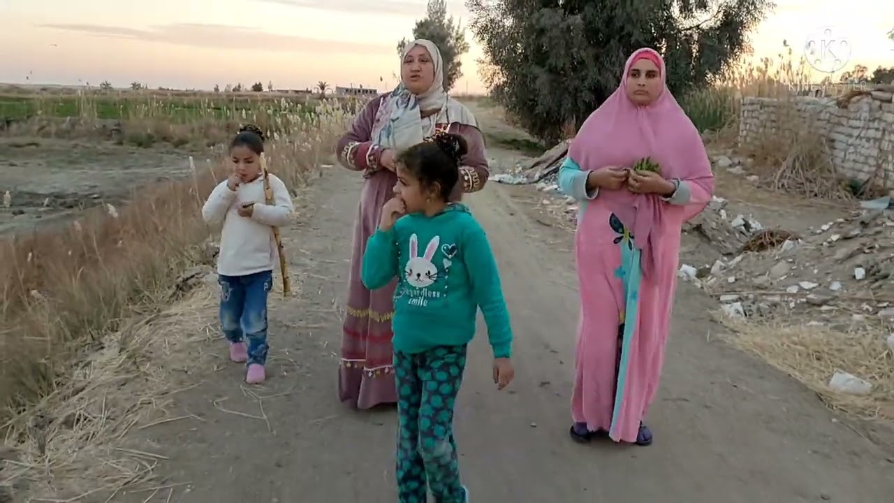 قضينا وقت جميل أنا واختي في أرض أبويا في الفرافره الله ع جمال الارض والزراعة