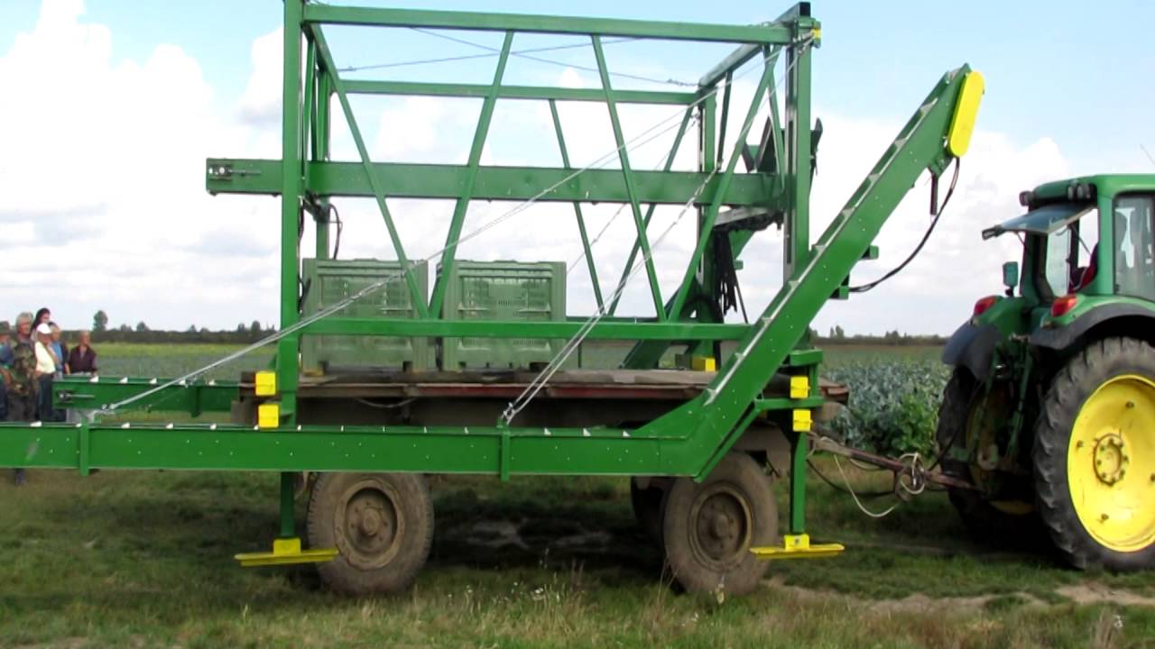 Pokretna traka za branje povrca / Vegetable harvesting conveyor belt