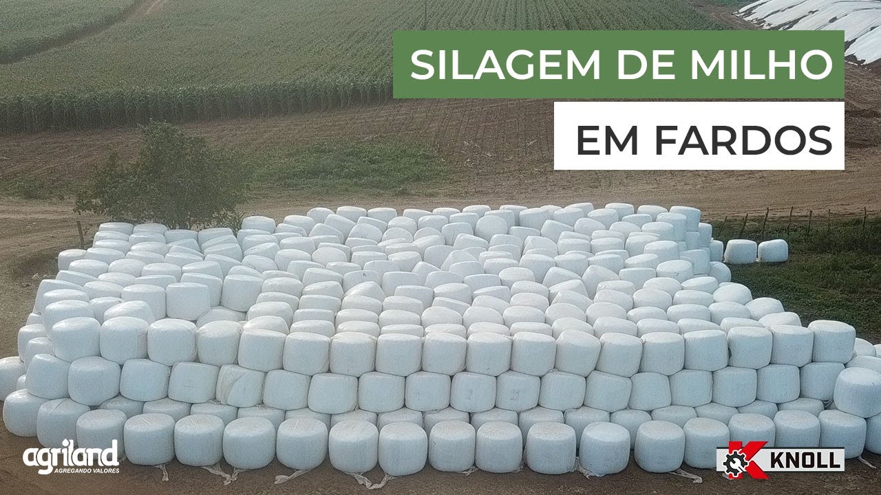 [Silagem de Milho em  Fardos] Processo de Produção - Grupo Agriland