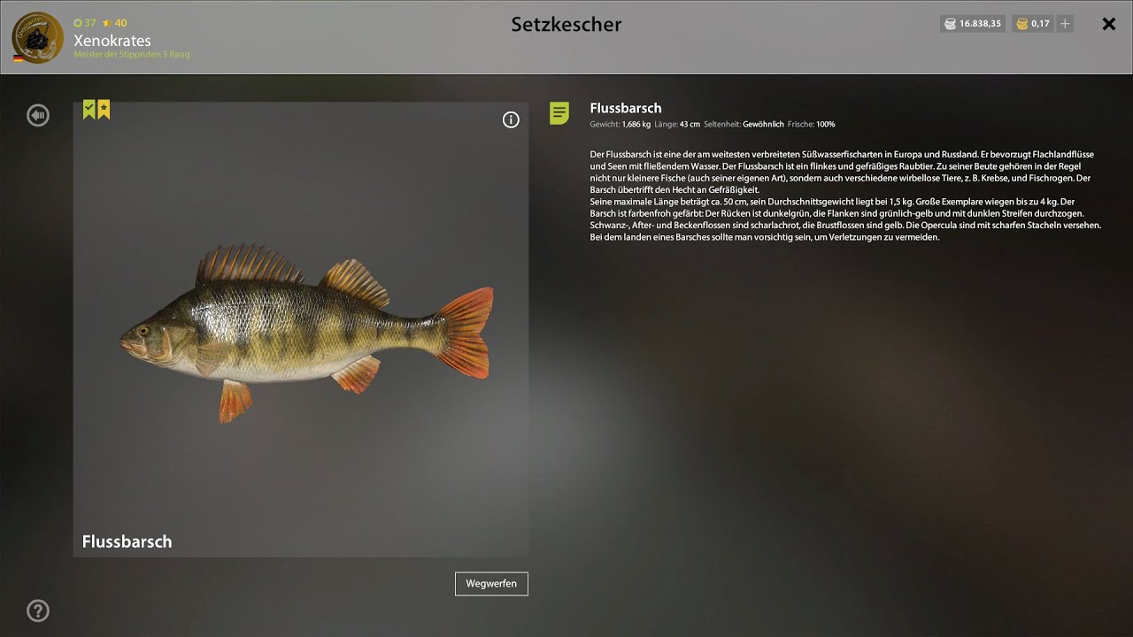 Russian Fishing 4.  Sonntagstest am Windenbach (Barsch Trophy)