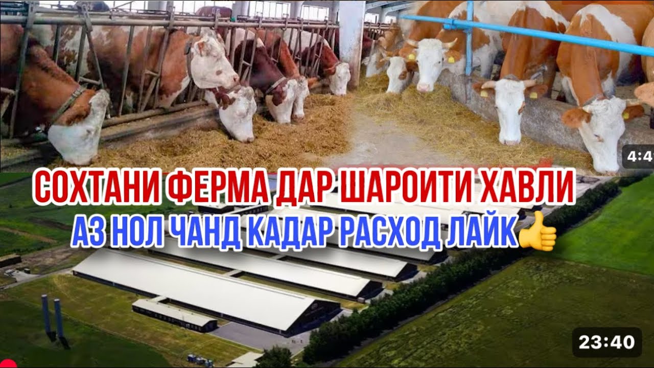 Сохтани ферма расход тарзи сохтан дар шароити хона 5 сентября 2025 г.