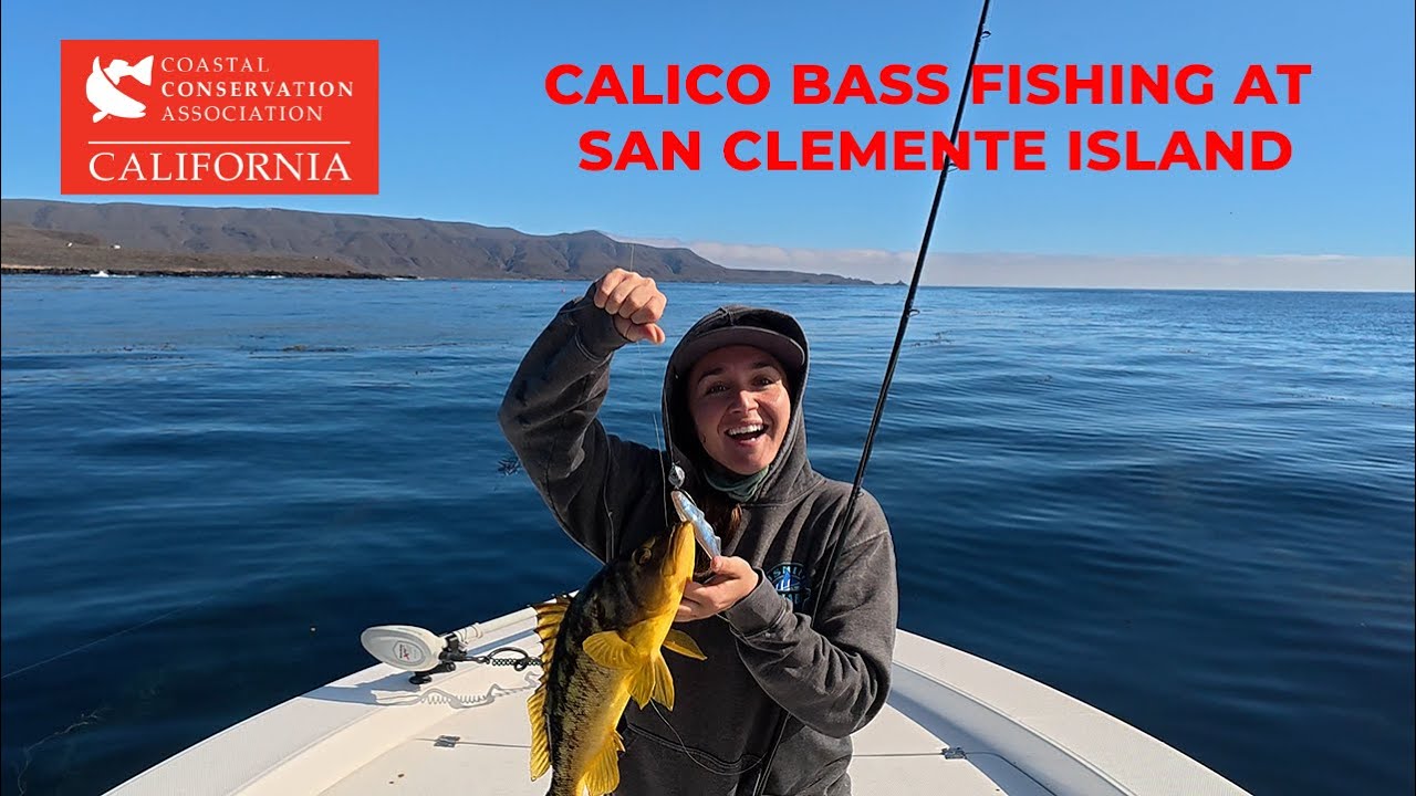 Calico bass fishing at San Clemente Island
