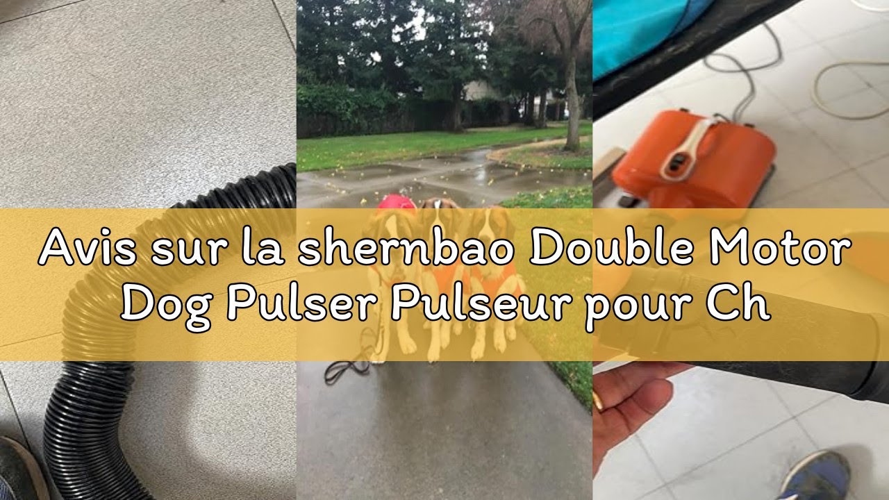 Avis sur la shernbao Double Motor Dog Pulser Pulseur pour Chien 6.0HP 3000W -Dog Dryer, Quick Drying
