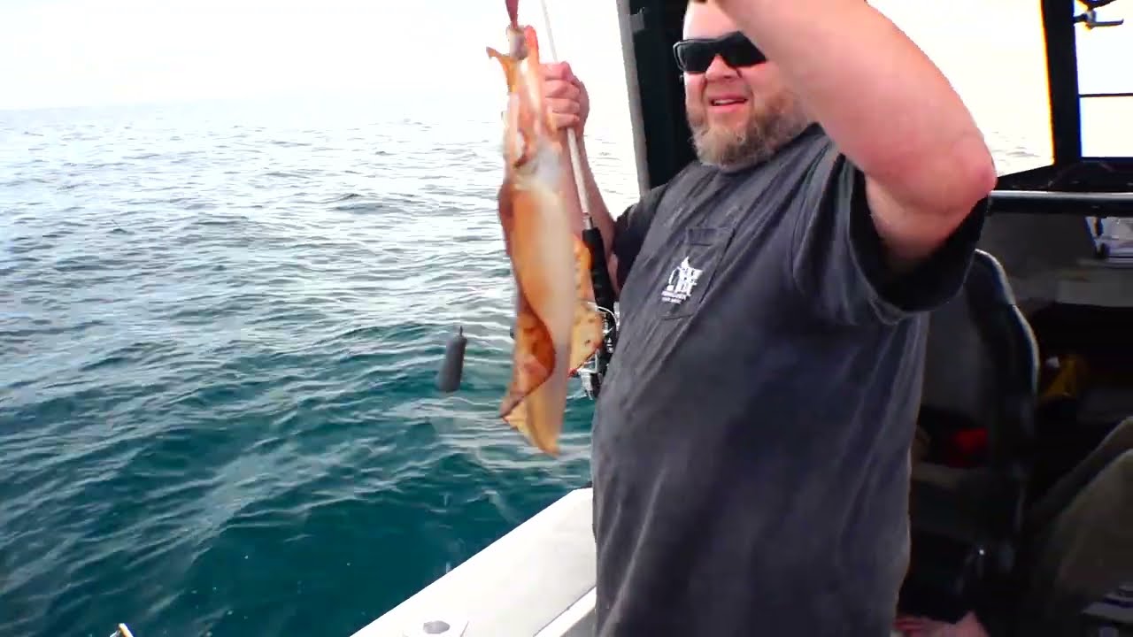 BIG CALAMARI SQUID ATTACKED AND STOLEN